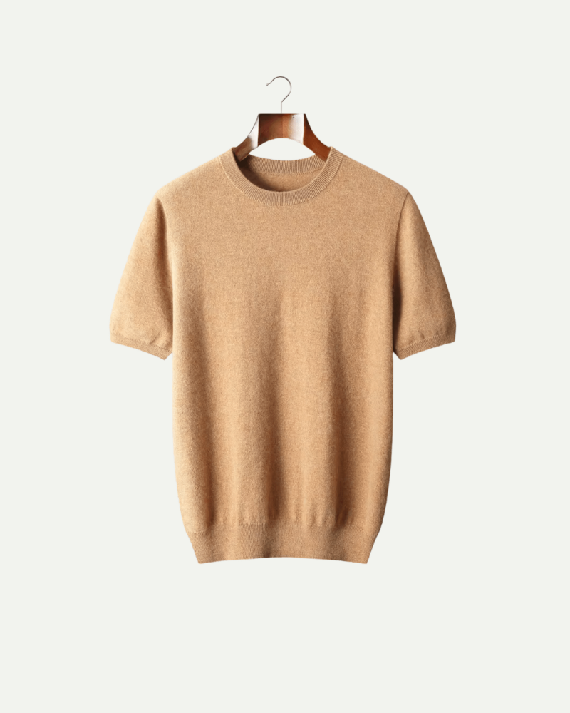 Camel cashmere wool knit T shirt men crew neck elegant refined knitwear

